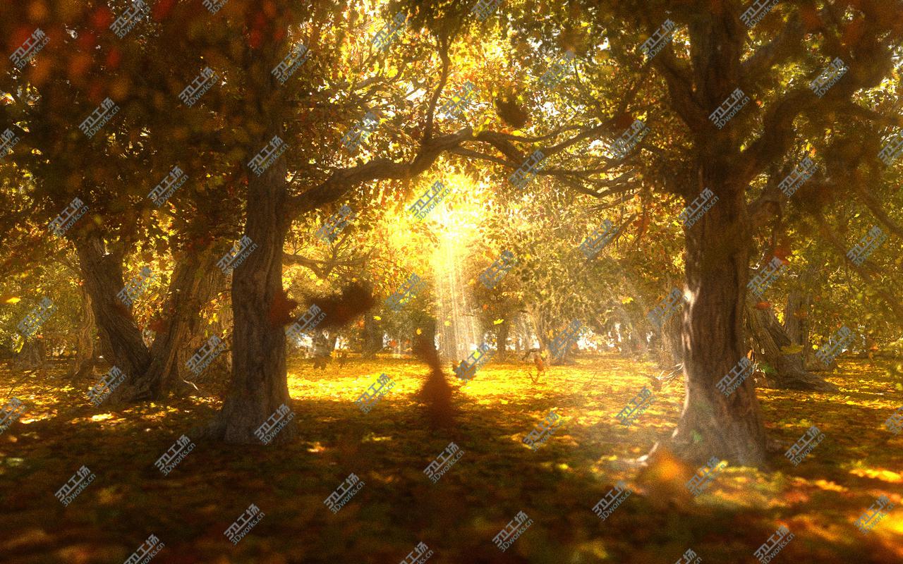 images/goods_img/202105073/Autumn Forest Animated 3D/5.jpg